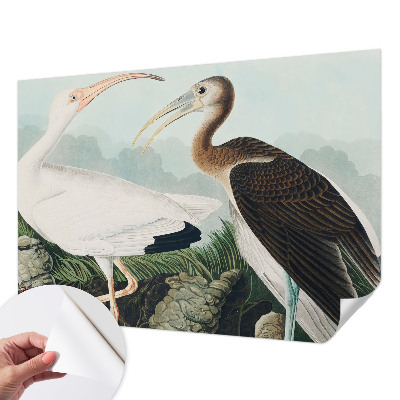 Autocolante de parede fotográfico com imagem de um casal de pássaros