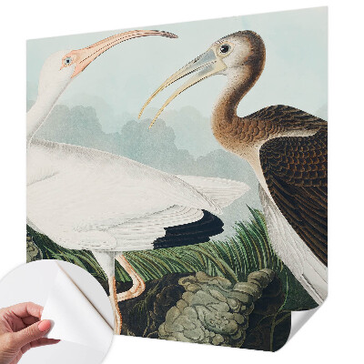 Autocolante de parede fotográfico Casal de pássaros