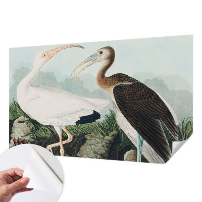 Autocolante de parede fotográfico com imagem de um casal de pássaros