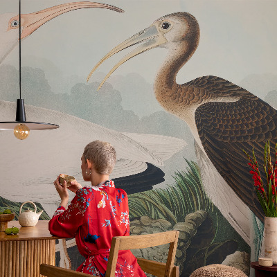 Autocolante de parede fotográfico Casal de pássaros