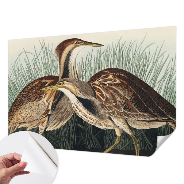 Papel de parede 3D pássaros realistas