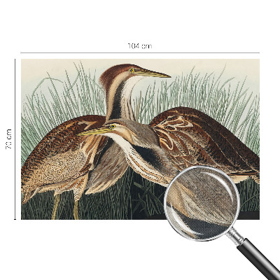 Papel de parede 3D pássaros realistas