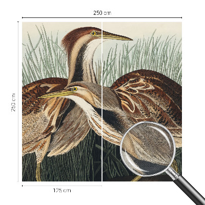 Papel de parede 3D pássaros realistas