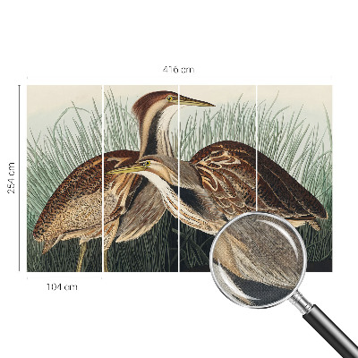 Papel de parede 3D pássaros realistas