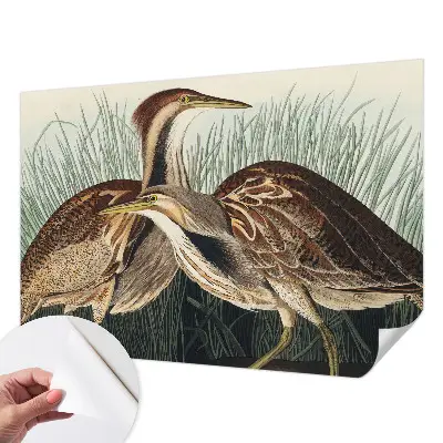 Papel de parede 3D com estampa de pássaros realistas