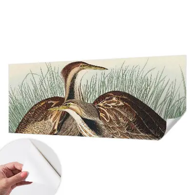 Papel de parede 3D com estampa de pássaros realistas