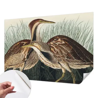 Papel de parede 3D com estampa de pássaros realistas