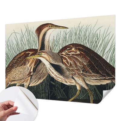 Papel de parede 3D pássaros realistas