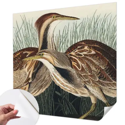 Papel de parede 3D com estampa de pássaros realistas