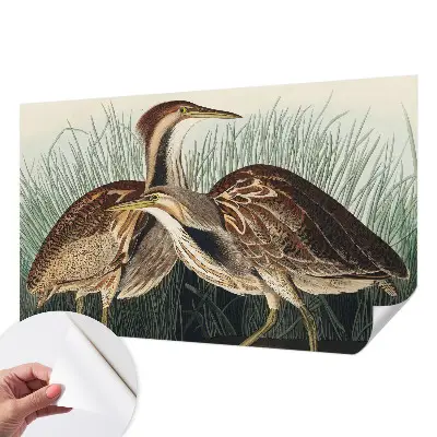 Papel de parede 3D com estampa de pássaros realistas