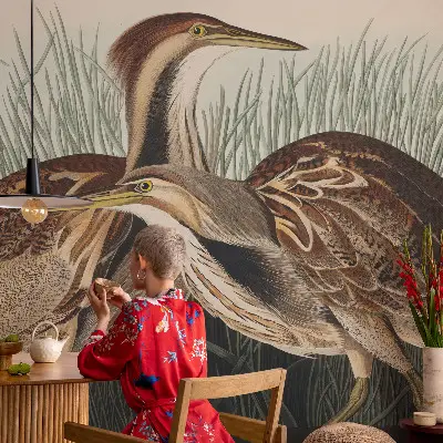 Papel de parede 3D com estampa de pássaros realistas