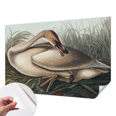 Papel de parede para criança com estampa de pássaro em estilo natural