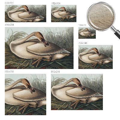 Papel de parede para criança Pássaro natural