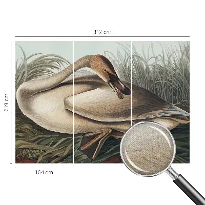 Papel de parede para criança com estampa de pássaro em estilo natural