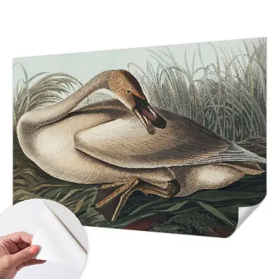 Papel de parede para criança com estampa de pássaro em estilo natural