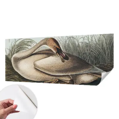 Papel de parede para criança com estampa de pássaro em estilo natural