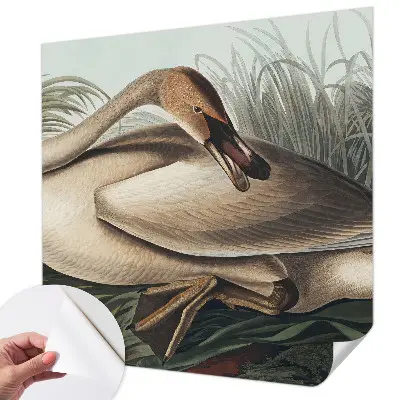 Papel de parede para criança com estampa de pássaro em estilo natural