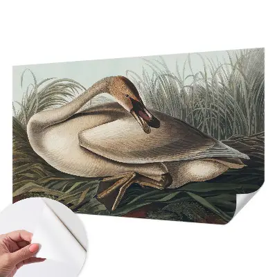 Papel de parede para criança com estampa de pássaro em estilo natural