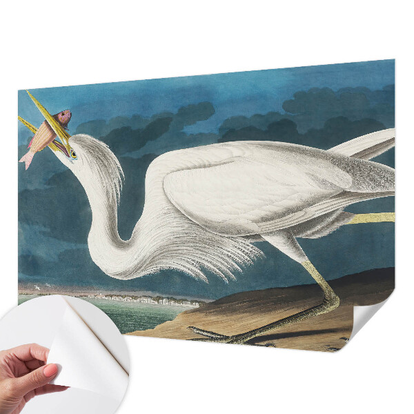 Papel de parede 3D Pássaro com peixe