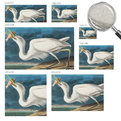 Papel de parede 3D Pássaro com peixe