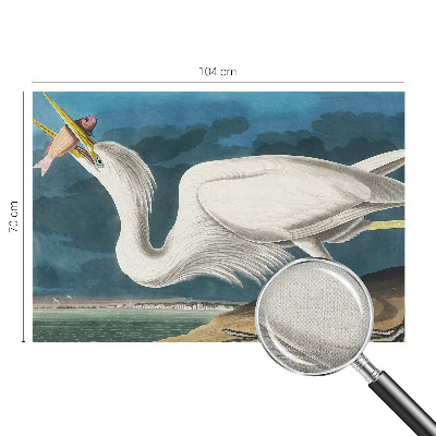 Papel de parede 3D Pássaro com peixe