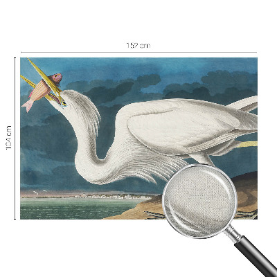 Papel de parede 3D Pássaro com peixe