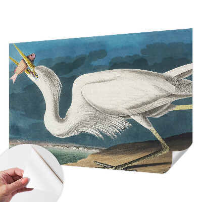 Papel de parede 3D Pássaro com peixe