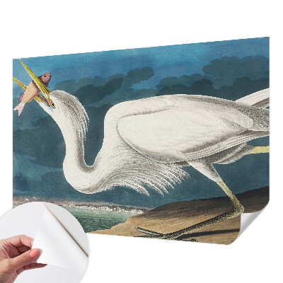 Papel de parede 3D Pássaro com peixe