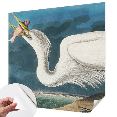 Papel de parede 3D Pássaro com peixe