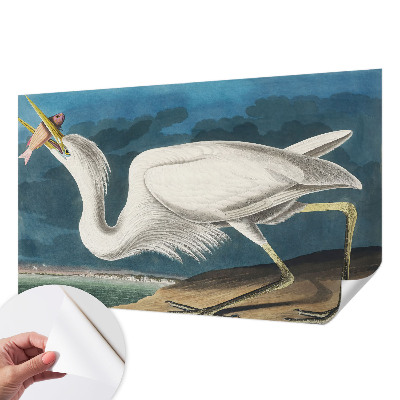 Papel de parede 3D Pássaro com peixe