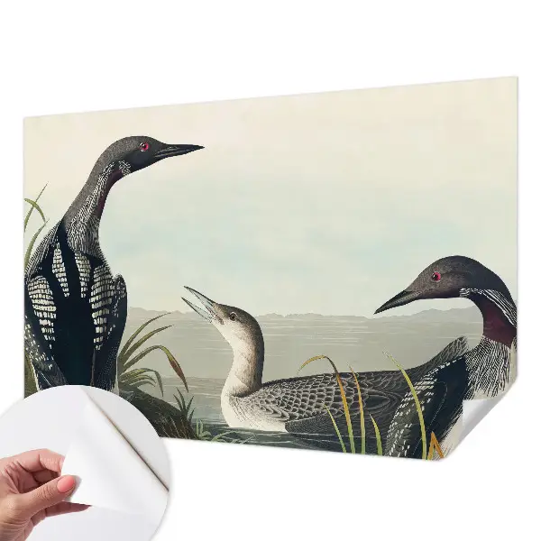Papel de parede autocolante para sala com estampa de pássaros sobre a água