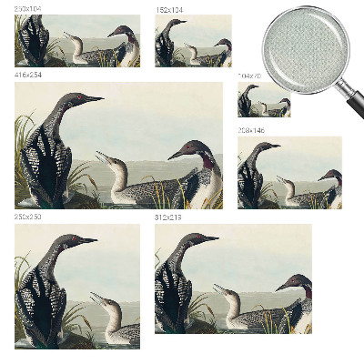 Papel de parede autocolante para sala Pássaros sobre a água