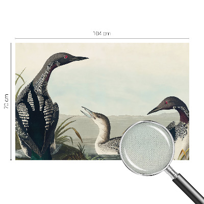 Papel de parede autocolante para sala Pássaros sobre a água