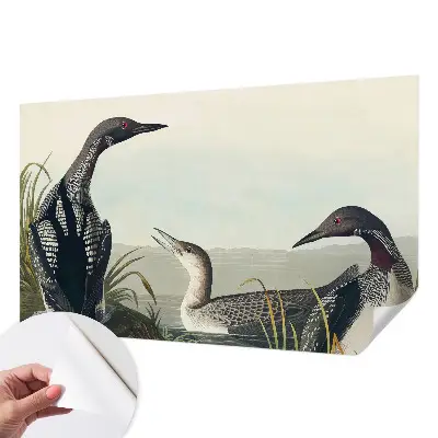 Papel de parede autocolante para sala com estampa de pássaros sobre a água
