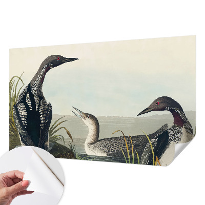 Papel de parede autocolante para sala Pássaros sobre a água