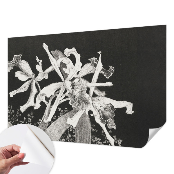 Papel de parede autocolante para quarto Ilustração de orquídea