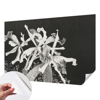 Papel de parede autocolante para quarto com ilustração de orquídea