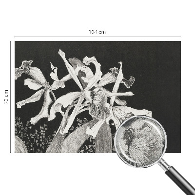 Papel de parede autocolante para quarto Ilustração de orquídea