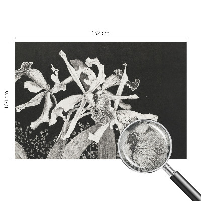 Papel de parede autocolante para quarto Ilustração de orquídea