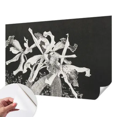 Papel de parede autocolante para quarto com ilustração de orquídea