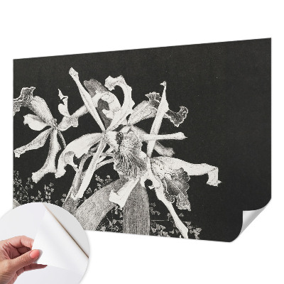 Papel de parede autocolante para quarto Ilustração de orquídea