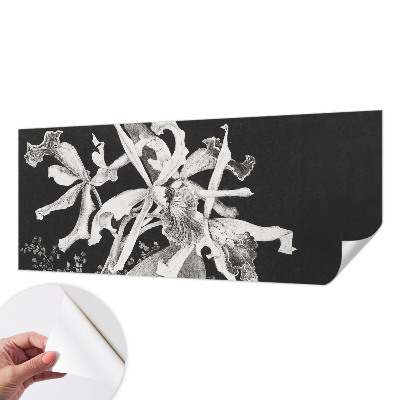 Papel de parede autocolante para quarto Ilustração de orquídea