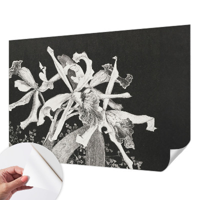 Papel de parede autocolante para quarto Ilustração de orquídea