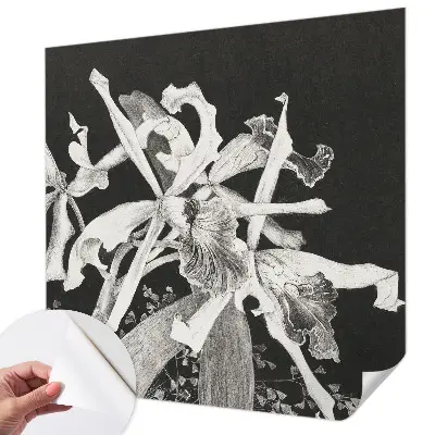 Papel de parede autocolante para quarto com ilustração de orquídea