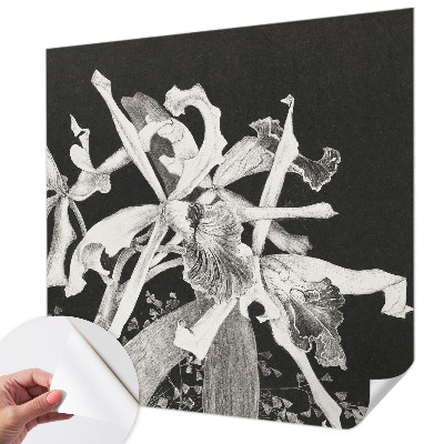 Papel de parede autocolante para quarto Ilustração de orquídea