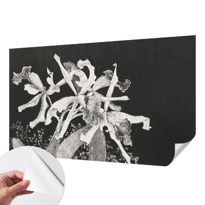 Papel de parede autocolante para quarto Ilustração de orquídea