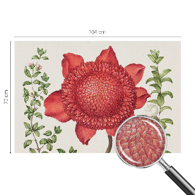 Papel de parede autocolante para sala Elegância floral