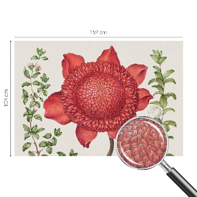 Papel de parede autocolante para sala Elegância floral