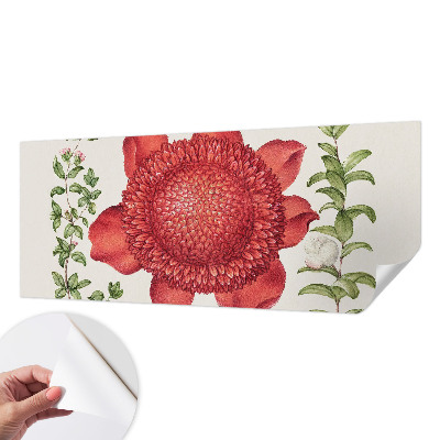 Papel de parede autocolante para sala Elegância floral