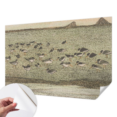 Papel de parede 3D com estampa 'Paz do pássaro'
